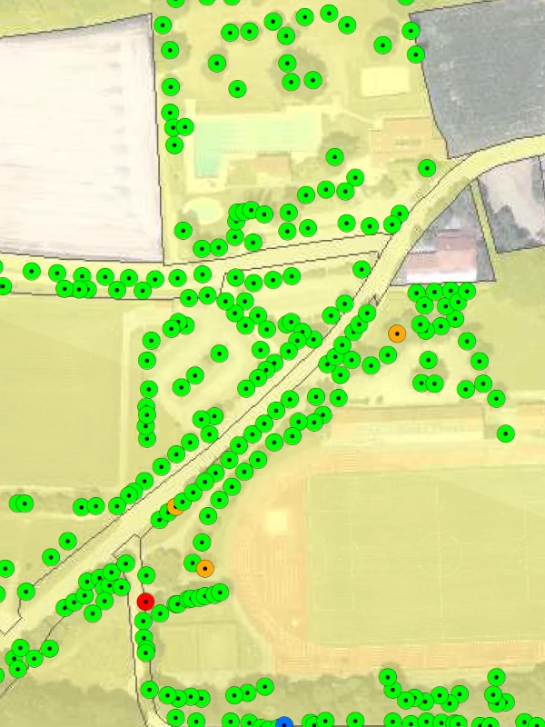 Baumkastaster Stadt Simbach am Inn